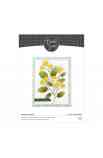 Party Boxes - Fustella Daisy Flower