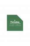 Cartoncino Texture 216gr - Intense Green