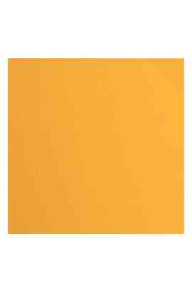 Florence 12x12" Texture - Grapefruit