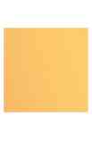 Florence 12x12" Texture - Peach