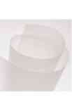Pack 5 Vellum 12"x12"