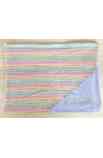 Astuccio A4 in plastica trasparente con righe colorate