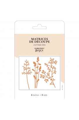 Carnet Nature - Fustella BRINS D'AUTOMNE