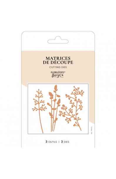 Carnet Nature - Fustella BRINS D'AUTOMNE