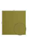 Florence 12x12" Smooth - Acacia