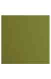 Florence 12x12" Smooth - Olive
