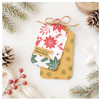 Embossing Folder + Stencil - Christmas Rose