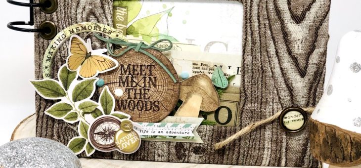 Mini album “Meet me in the woods”